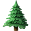 🌲 🌲