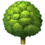 🌳 🌳