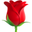 🌹 🌹