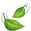 :leaves: 🍃