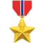 🎖