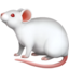 :mouse2: 🐁