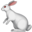 🐇 🐇