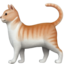 🐈 🐈