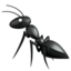 🐜 🐜