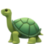 🐢 🐢
