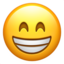 :grin: 😁