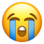 :sob: 😭