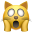 🙀 🙀