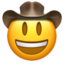 :face_with_cowboy_hat: 🤠