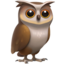 🦉 🦉