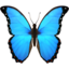 🦋 🦋