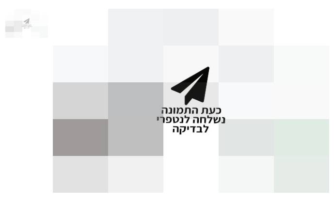 03f982c4-2a50-4810-afa8-56bf5fbe0749-image.png