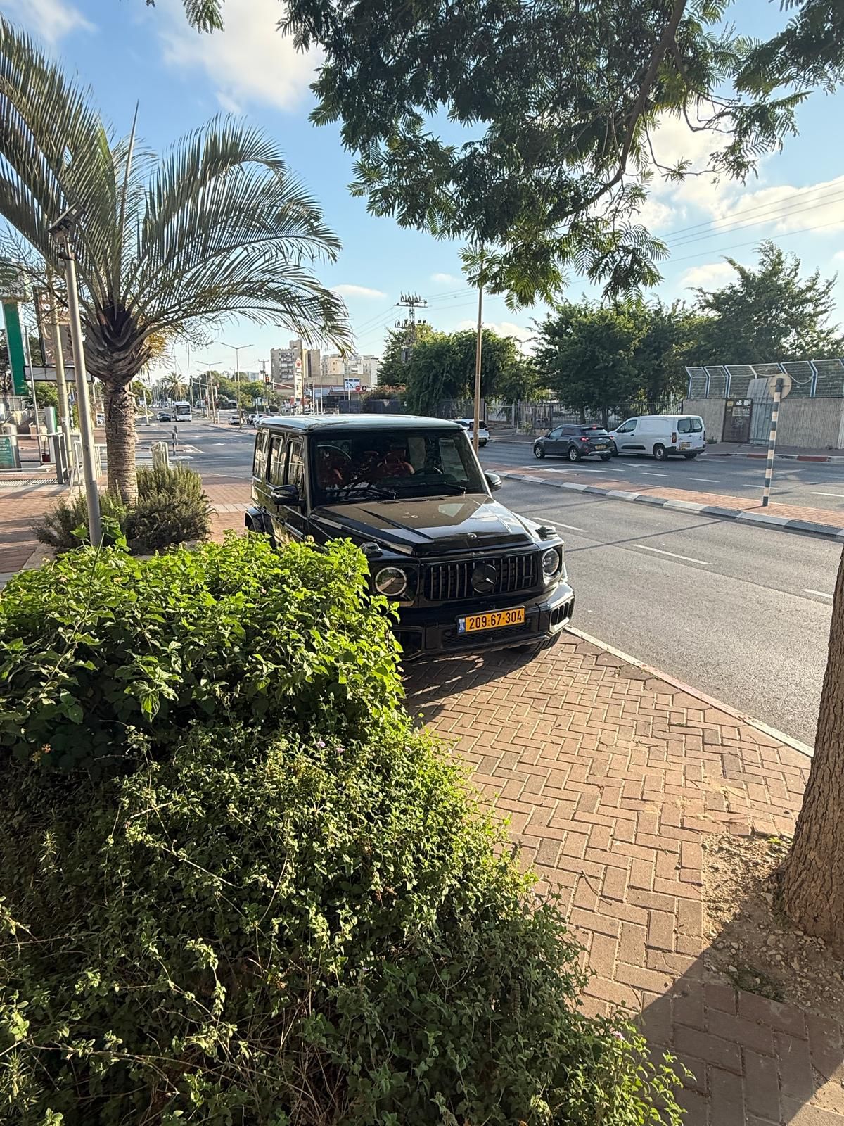 תמונה של WhatsApp‏ 2025-07-07 בשעה 00.16.47_443855e4.jpg
