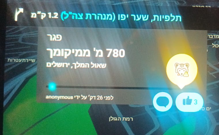 פגר.jpg