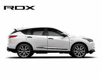 RDX-model-line-overlay_M.jpg