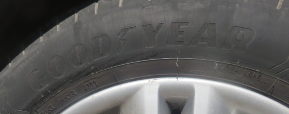 53727dfd-28a5-4d65-8815-d4892e9a06f6-צילום מסך 2026-02-22 145324.png