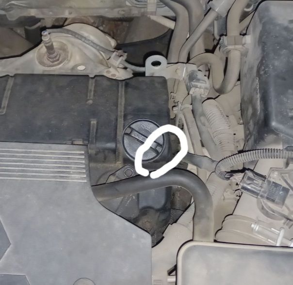 Screenshot_20260407-105523_   .jpg