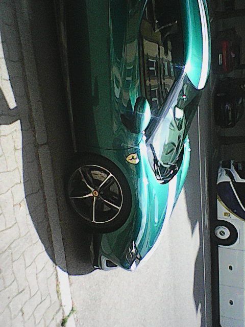 DSC_0000086.jpg