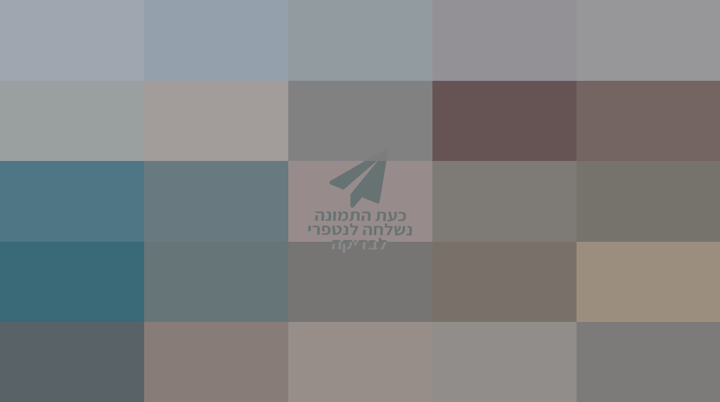 9ed116f8-eb5f-4896-8c91-514710d7c623-image.png