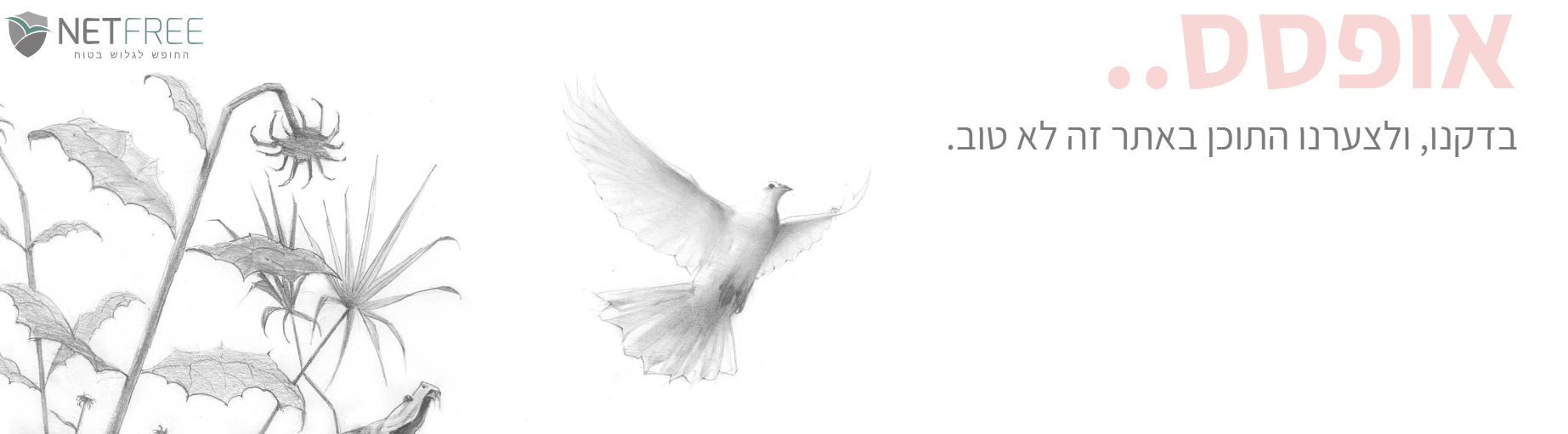 6de69b7f-c099-4016-bdae-52d94c43c2f7-image.png