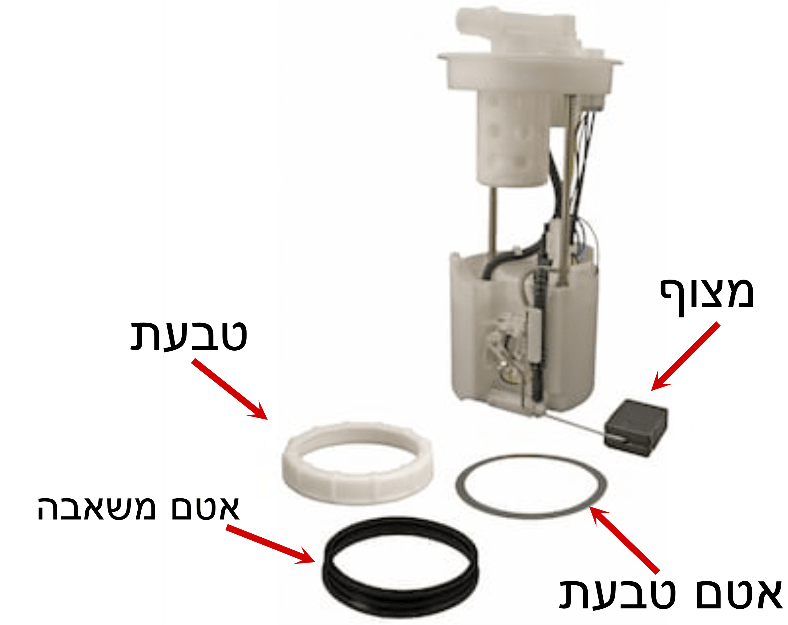 D8015M-01.png