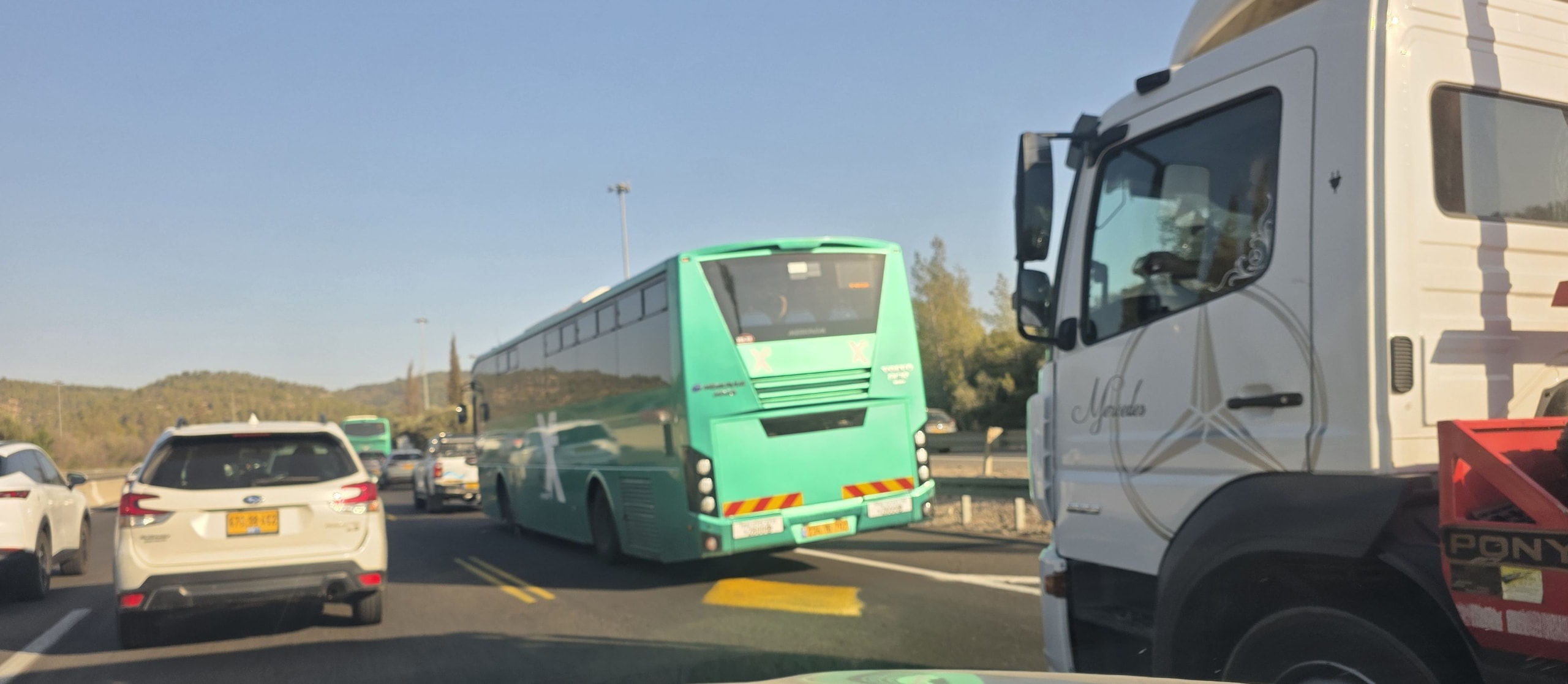 7351.jpg