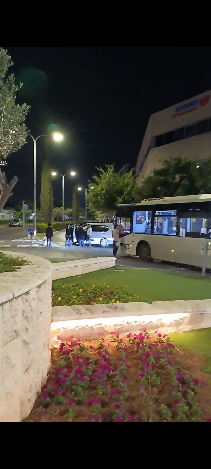 279.jpg