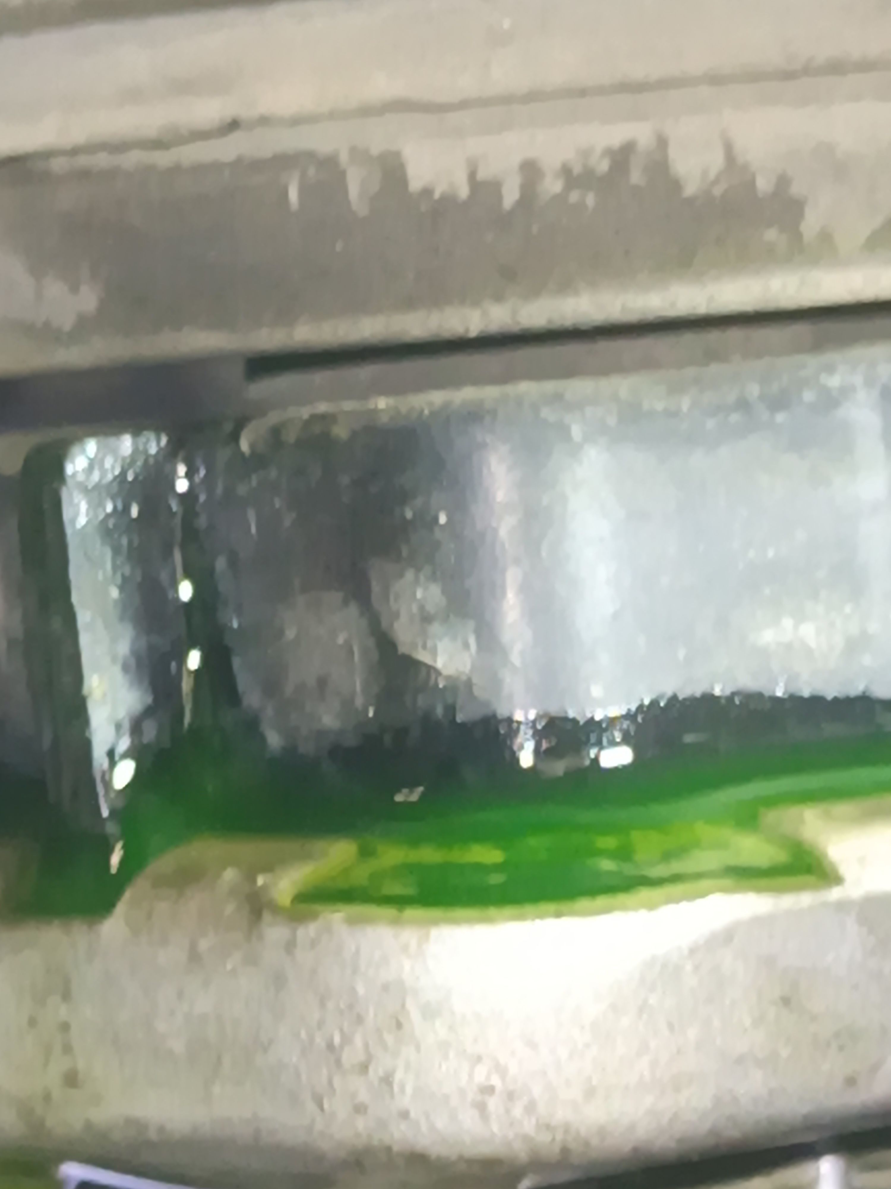 55.jpg